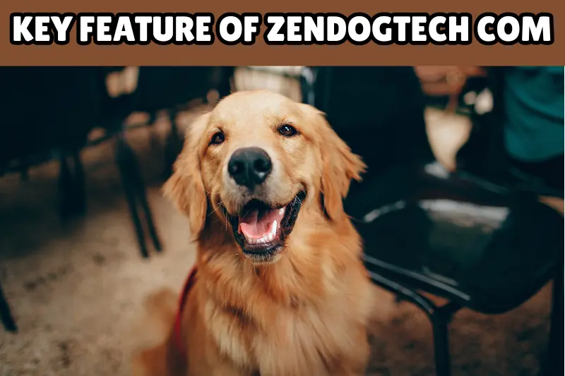 key feature of zendogtech com