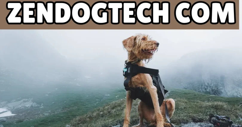 zendogtech com